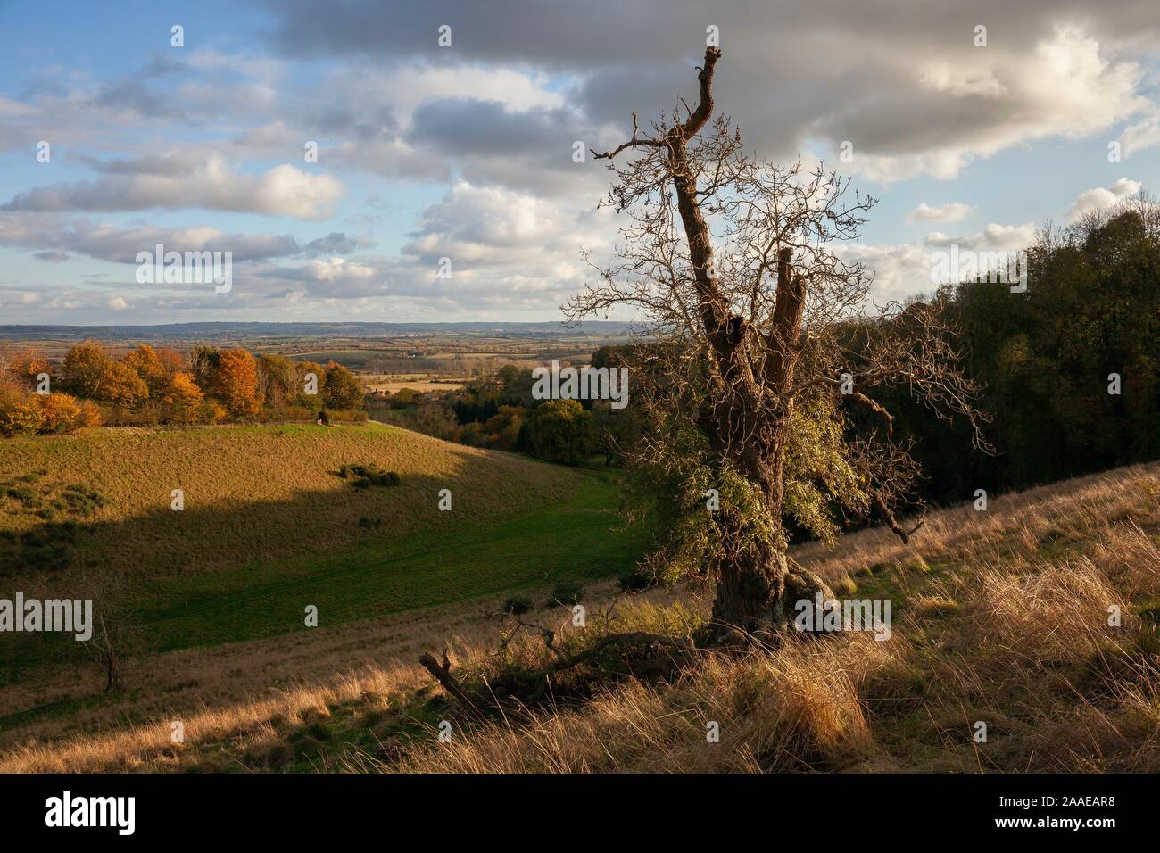 Farmland near Ilmington, Cotswolds, Warwickshire, England Stock Photo
