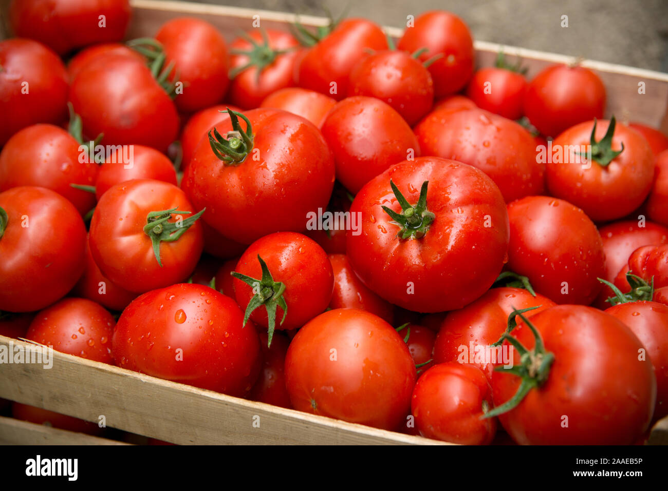 Box of bright red tomatoes ready for sale at a farmer market Stock ...
