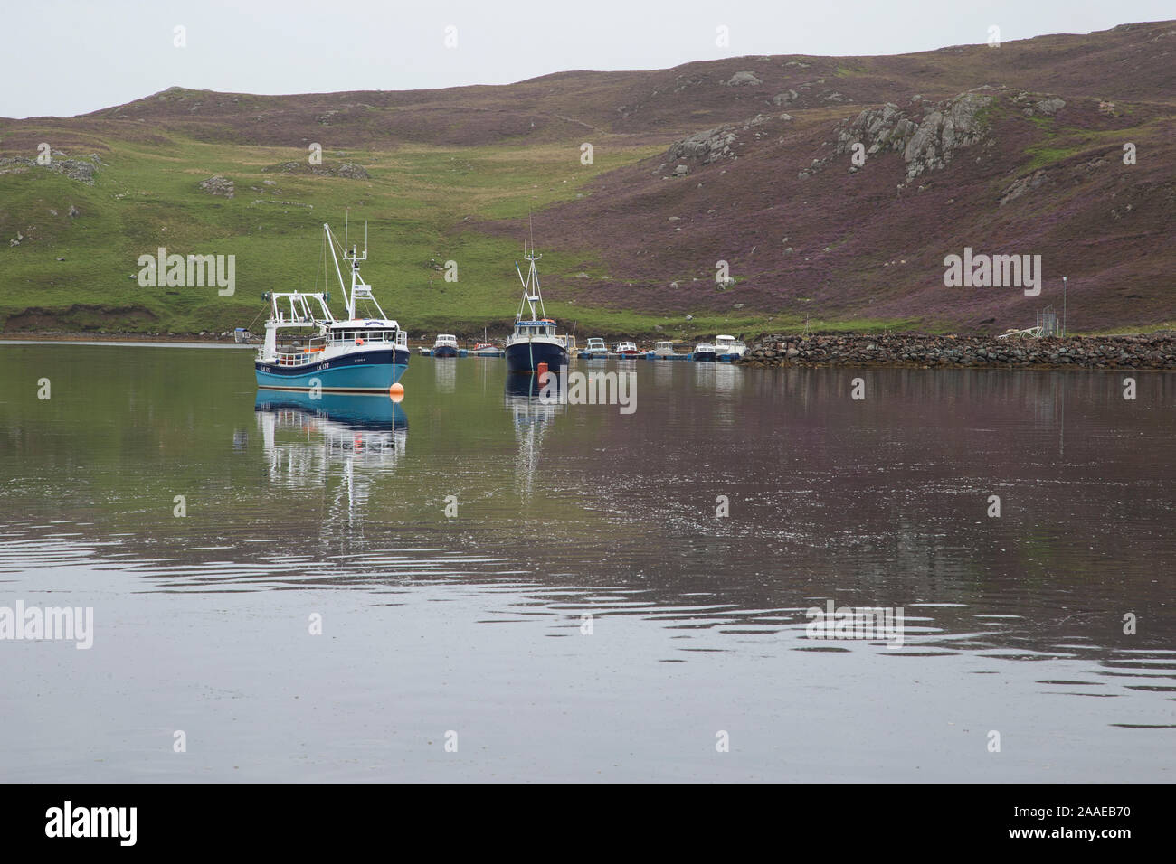 Fishing vessels including Viora and Liberty moored in a calm water cove at Muckle Roe in the Shetland Isles Stock Photo