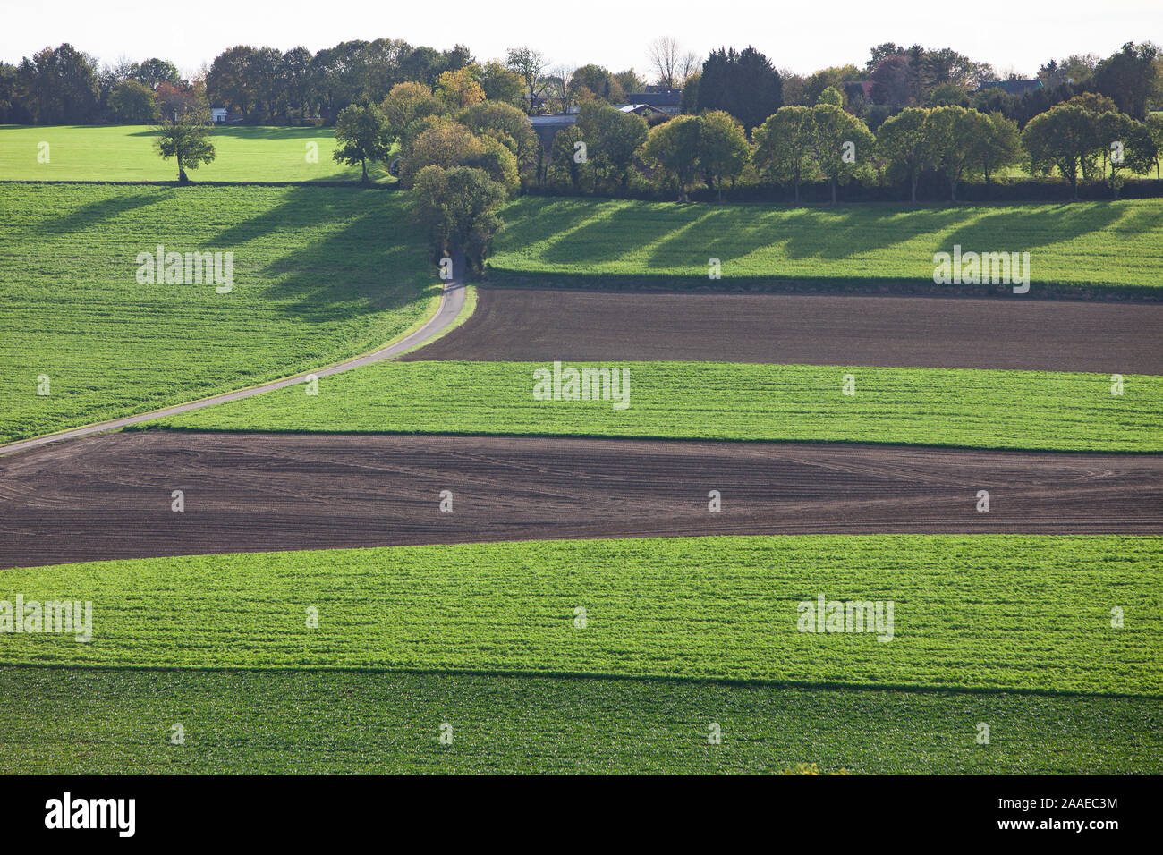landscape with fields and meadows in dutch province of south limburg Stock Photo