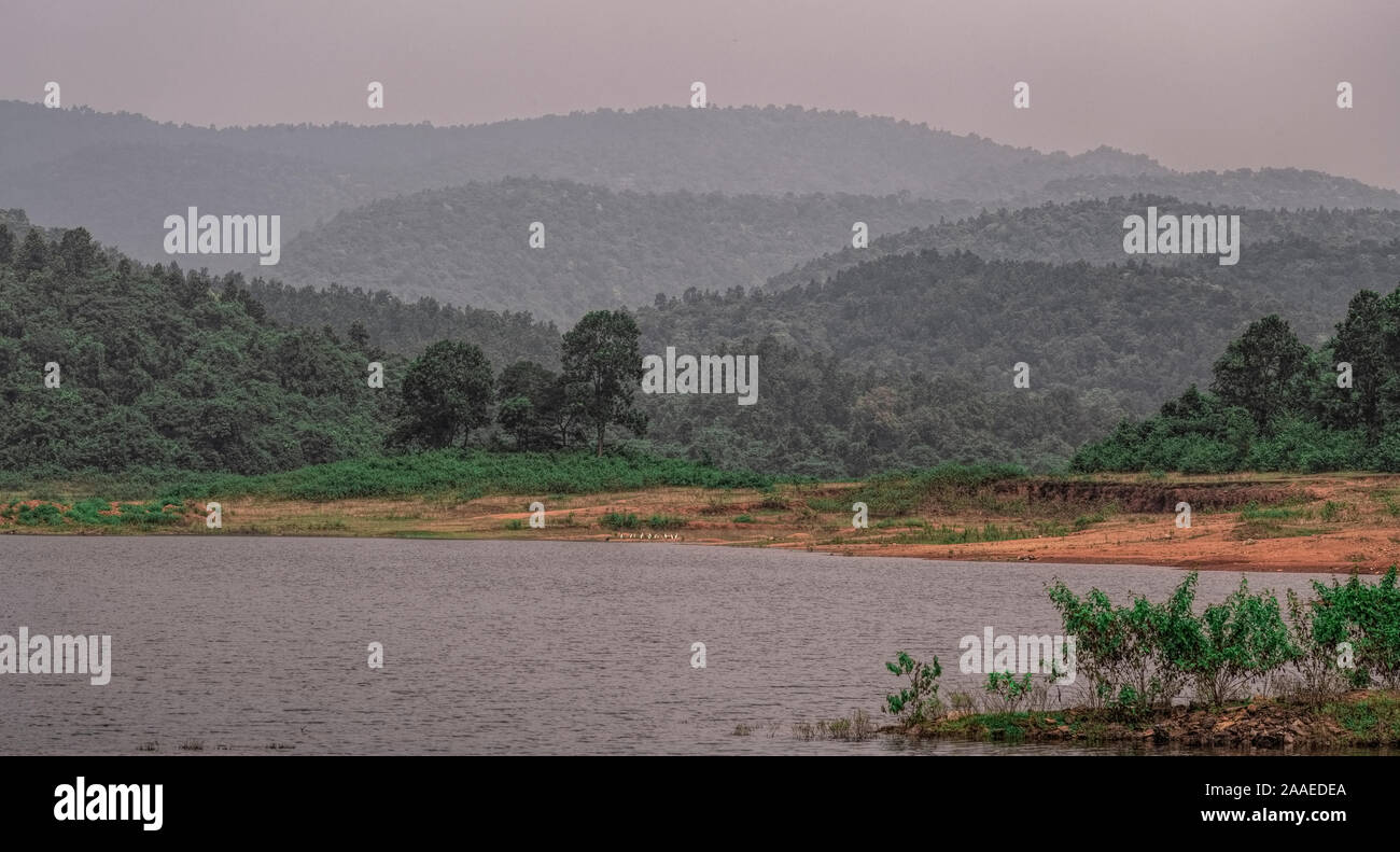 Panorama,rolling,Dalma,hills,Burundi lake.green,canopy,of forests,egrets,cormorants,on,lake bank, Ghatsila,Jharkhand,India Stock Photo