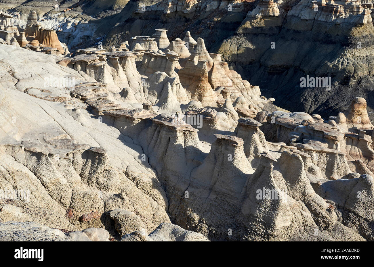 Bisti Badlands De-Na-Zin rock formations in New Mexico, USA Stock Photo