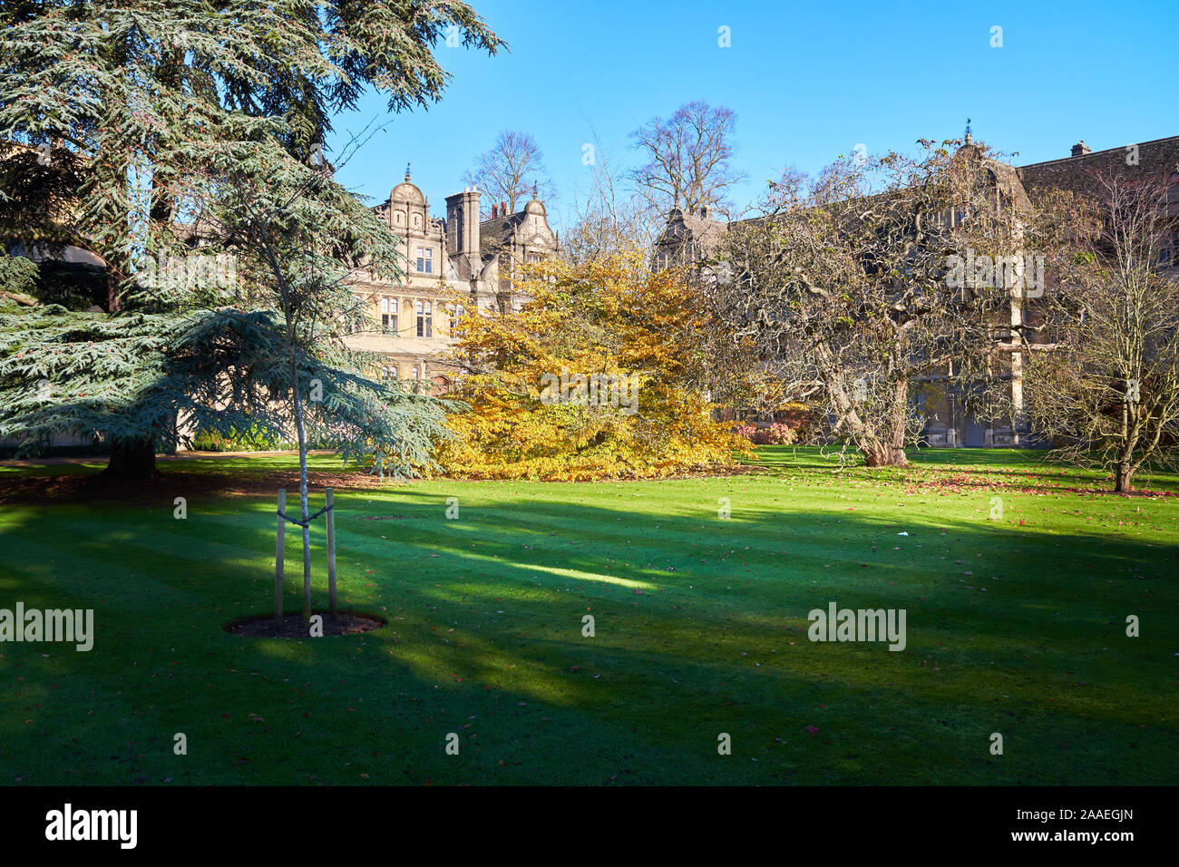 Grounds of a large courtyard at Trinity college, university of Oxford, England, on a sunny winter day. Stock Photo