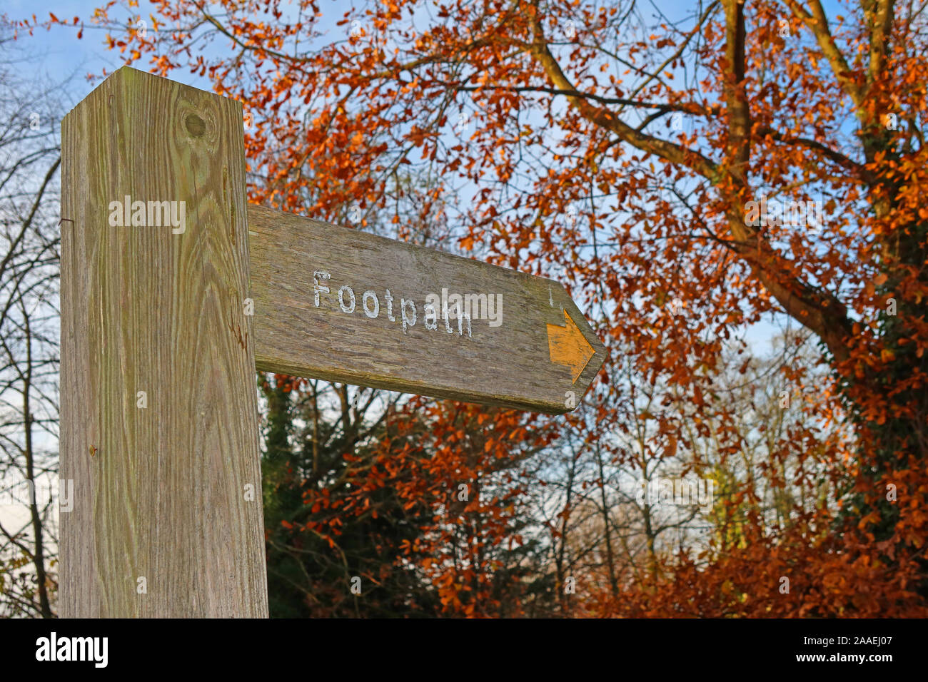 Footpath fingerpost sign with arrow, autumn in the woods - choose a refreshing walk, Grappenhall, Cheshire, WA4 3EP Stock Photo