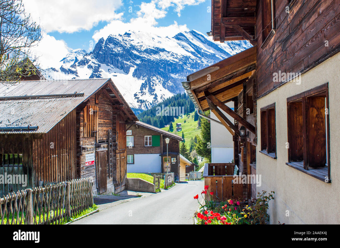 Alpine village. Village Murren in the Swiss Alps. Swiss village in the ...