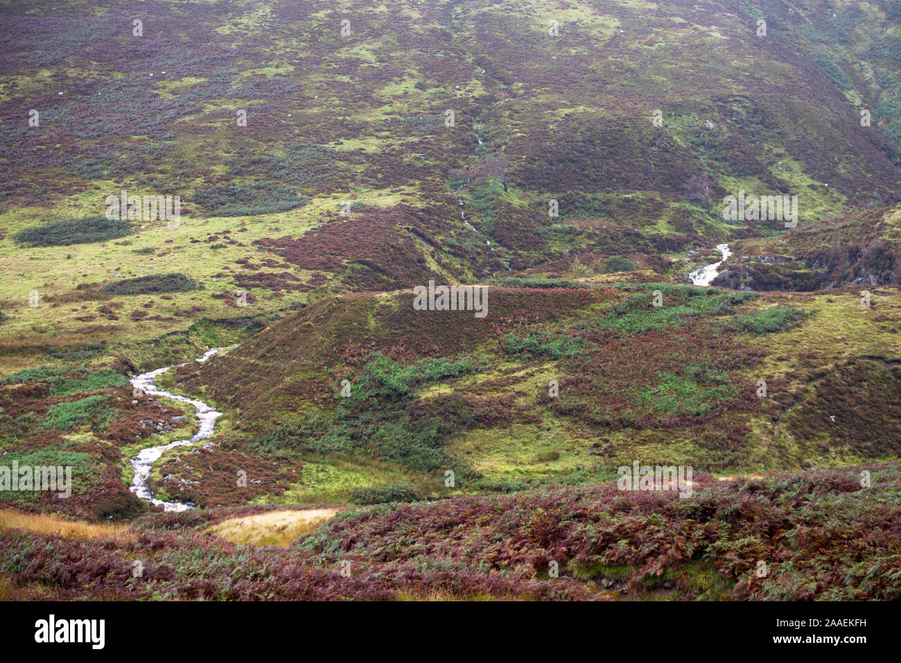 Cross o greets hires stock photography and images Alamy