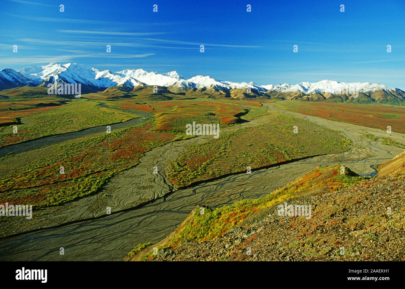 Die Berge der Alaska Range mit der farbigen Herbsttundra im Vordergrund - Denali N.P. - Alaska Stock Photo
