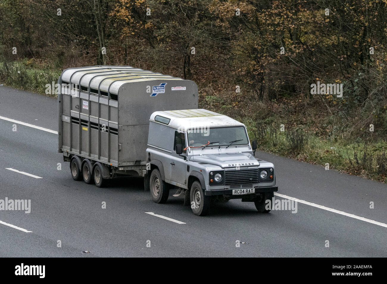 2015 silver Land Rover Defender 90 Hard Top Td LCV Diesel; Farm livestock traveling on the M61 motorway near Manchester, UK Stock Photo