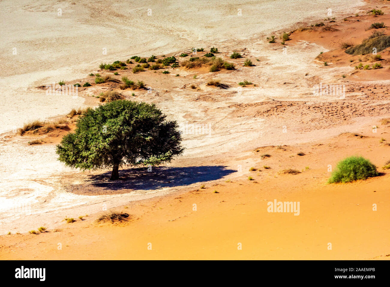 Red sand dunes in Deadvlei, Sossusvlei, Namib-Naukluft National Park, Namibia, Africa Stock Photo