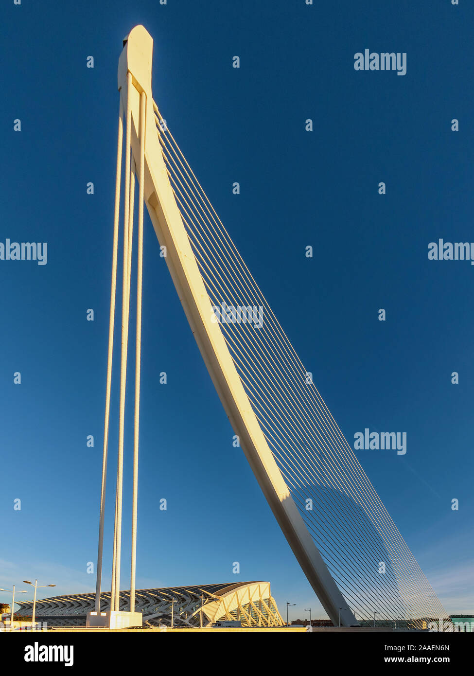 El Pont de l'Assut de l'Or at the City of Arts and Sciences in the early morning, designed by Calatrava, Valencia, Spain Stock Photo