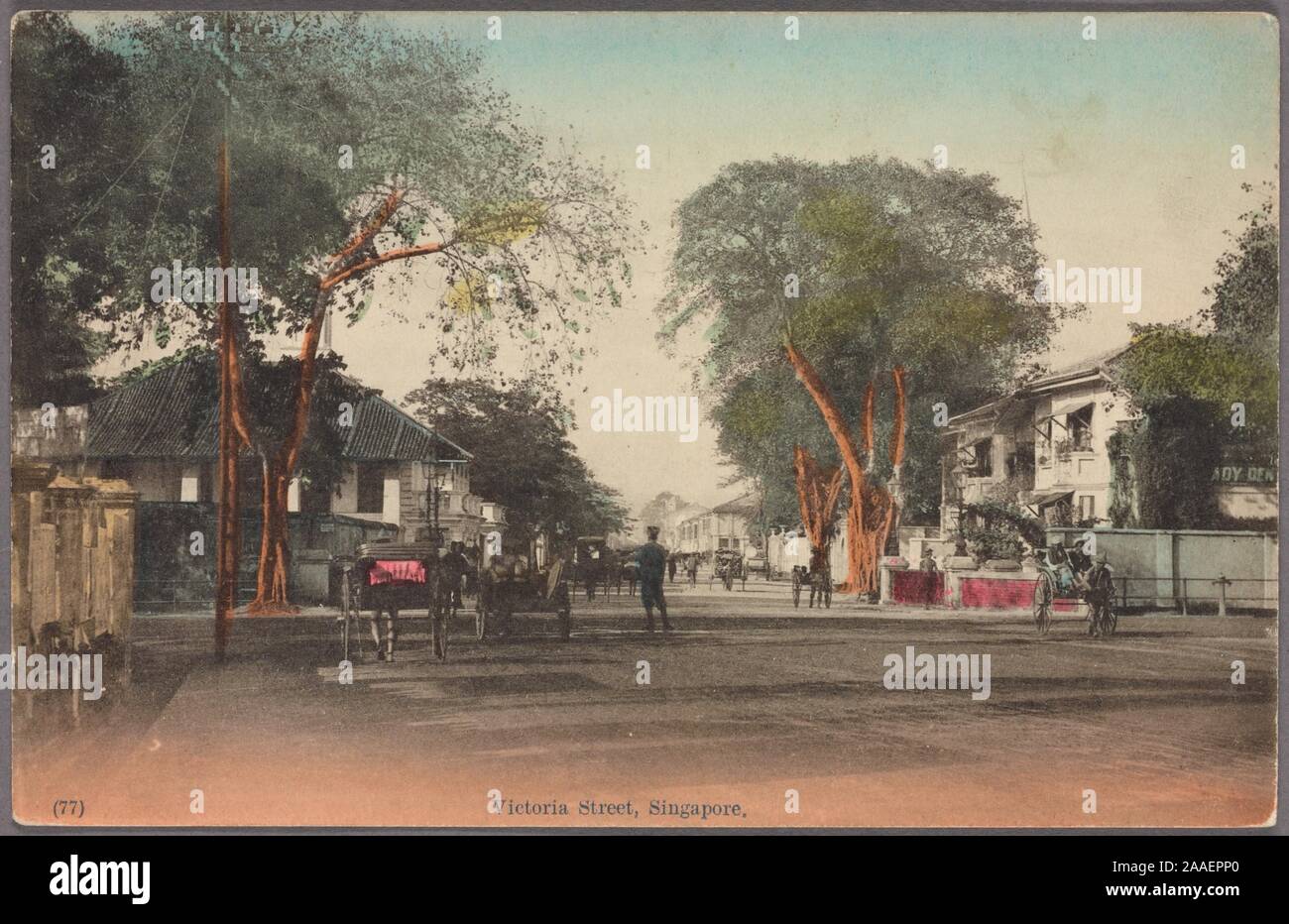 Illustrated postcard of houses lining the residential Victoria Street, which passes through the districts of Kampong Glam, Bugis and Bras Basah, Singapore, 1912. From the New York Public Library. () Stock Photo