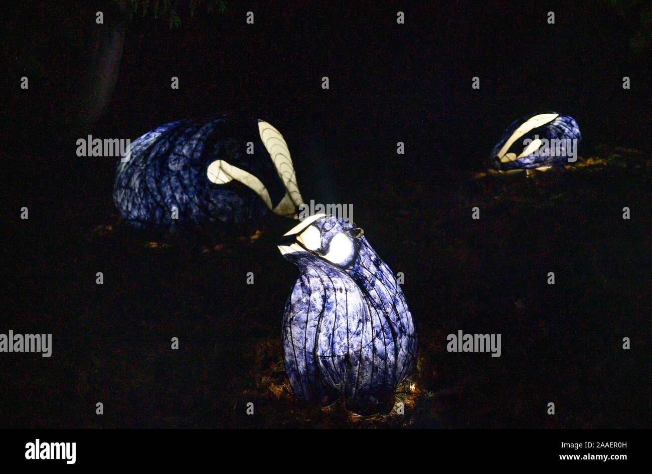 Badger lanterns hi-res stock photography and images - Alamy