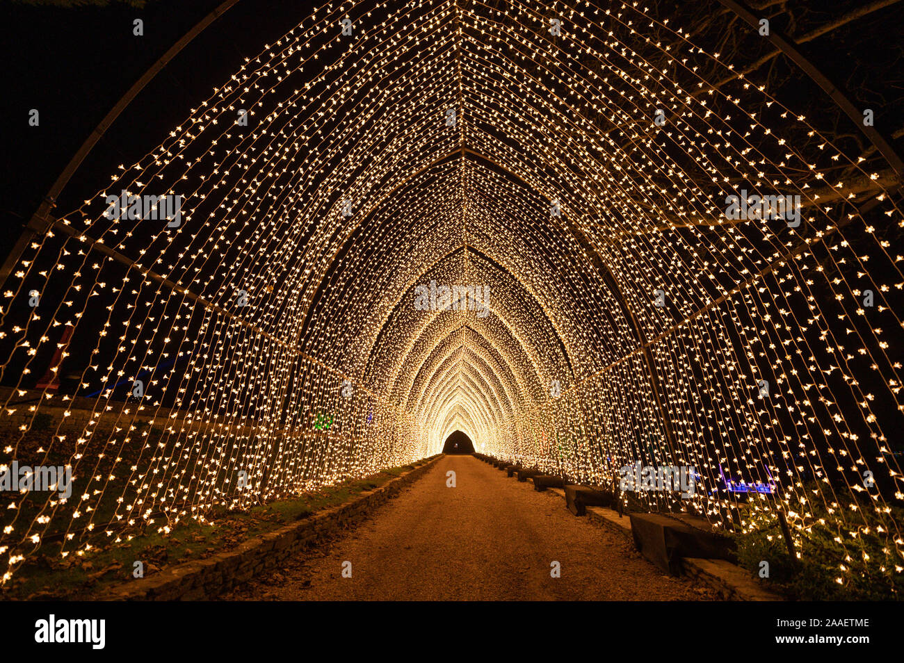 Blenheim Palace, Oxfordshire, UK. 21st Nov, 2019. Light installations in the grounds of Blenheim Palace as part of their Christmas celebrations. Credit: Andrew Walmsley/Alamy Live News Stock Photo