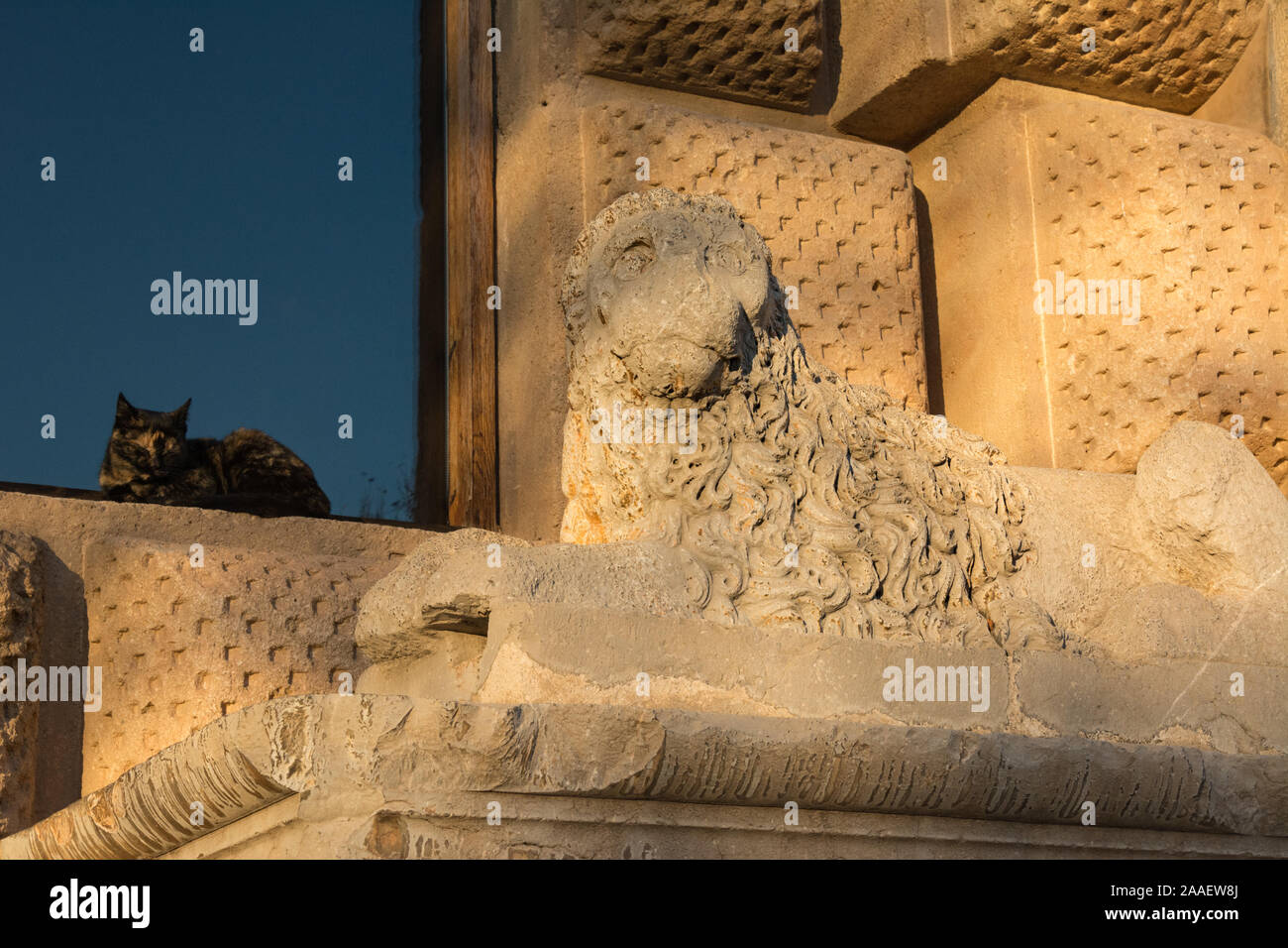 A feral cat plays copycat by sitting next to a lion sculpture in an identical pose at the Palace of Charles V in the Alhambra, Granada. Stock Photo