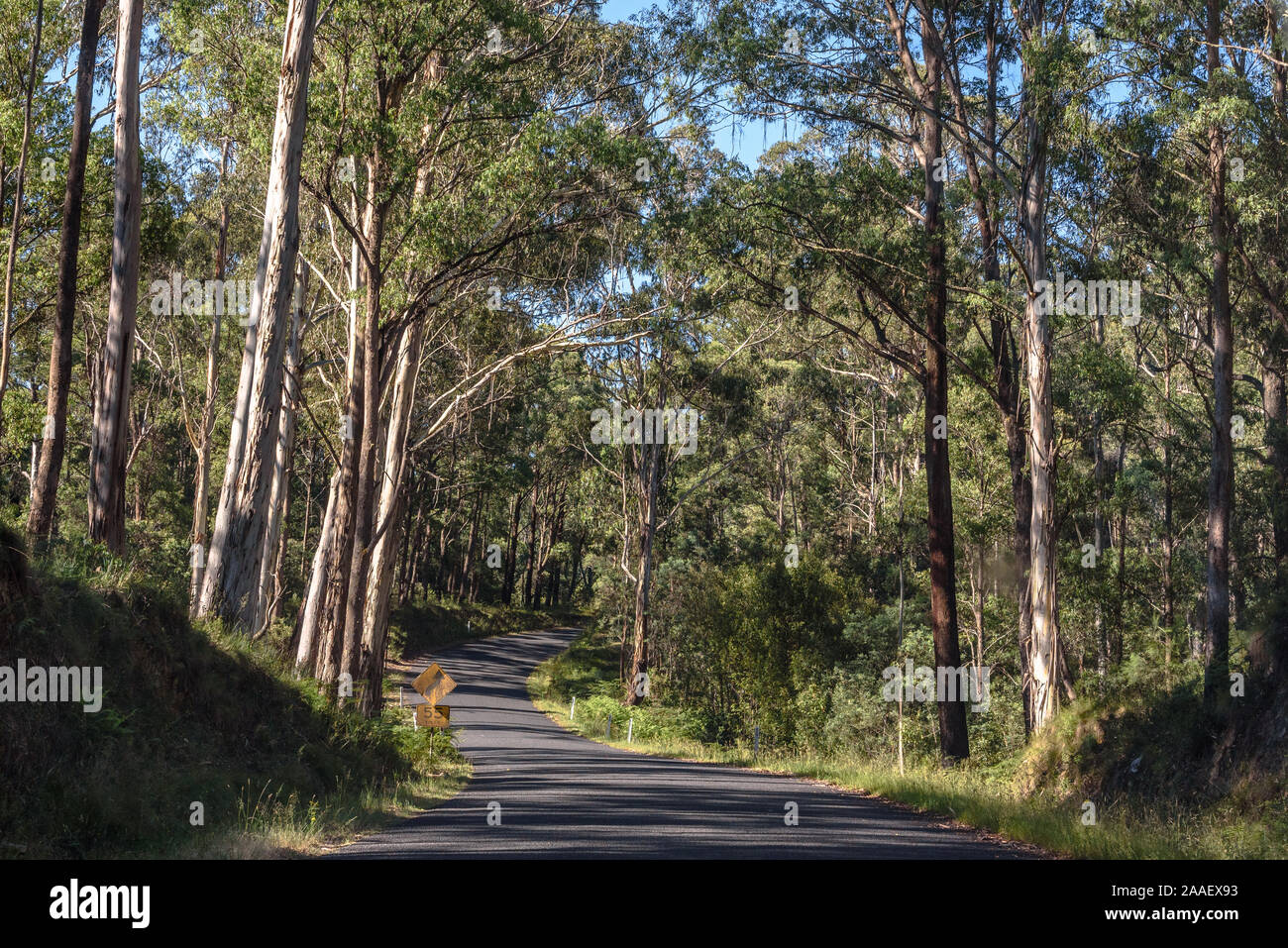 The Alpine Way winding through the Snowy Mountains of Australia in the summer Stock Photo