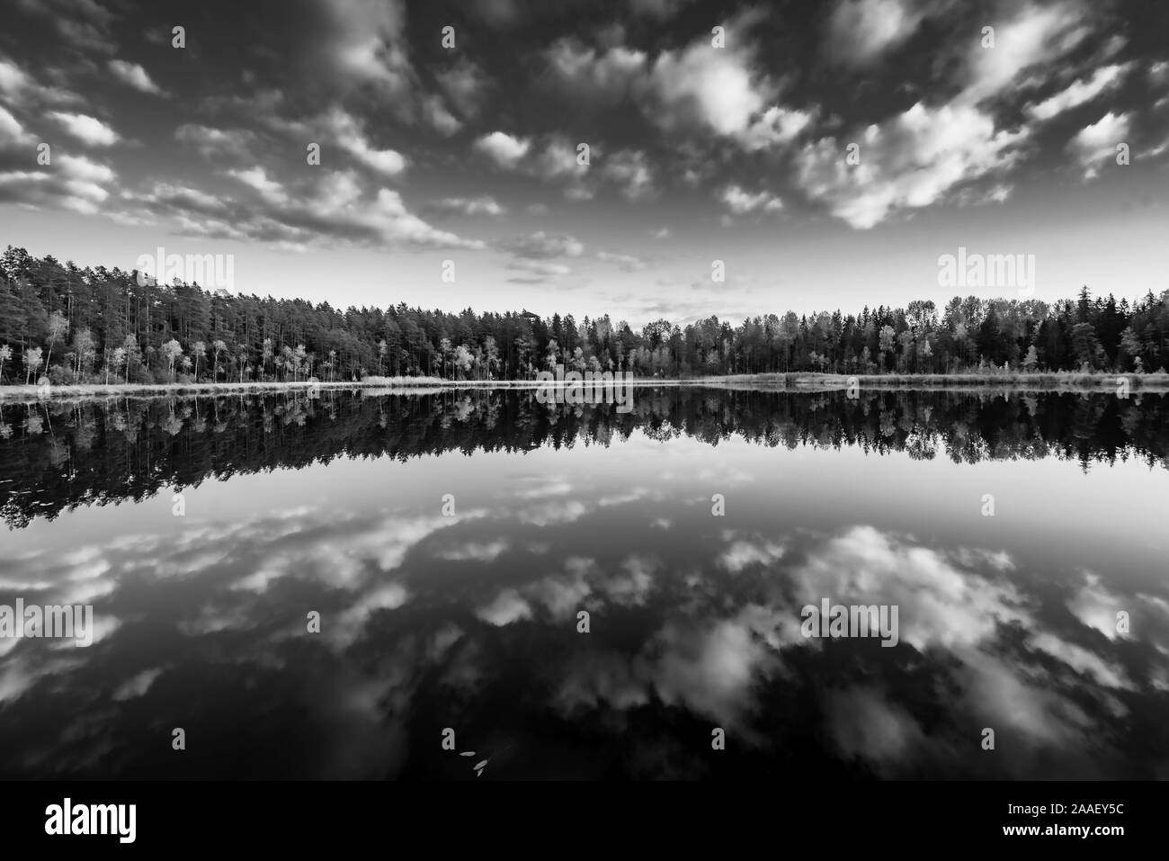 Lakeside woods Black and White Stock Photos & Images - Alamy