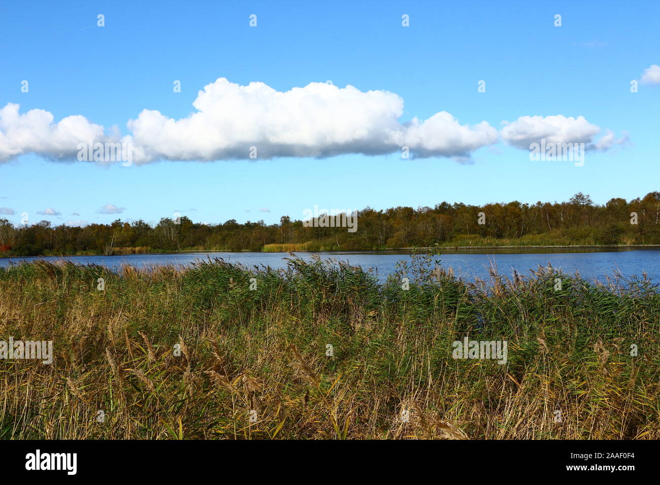 Seenlandschaft in Nordholland Stock Photo