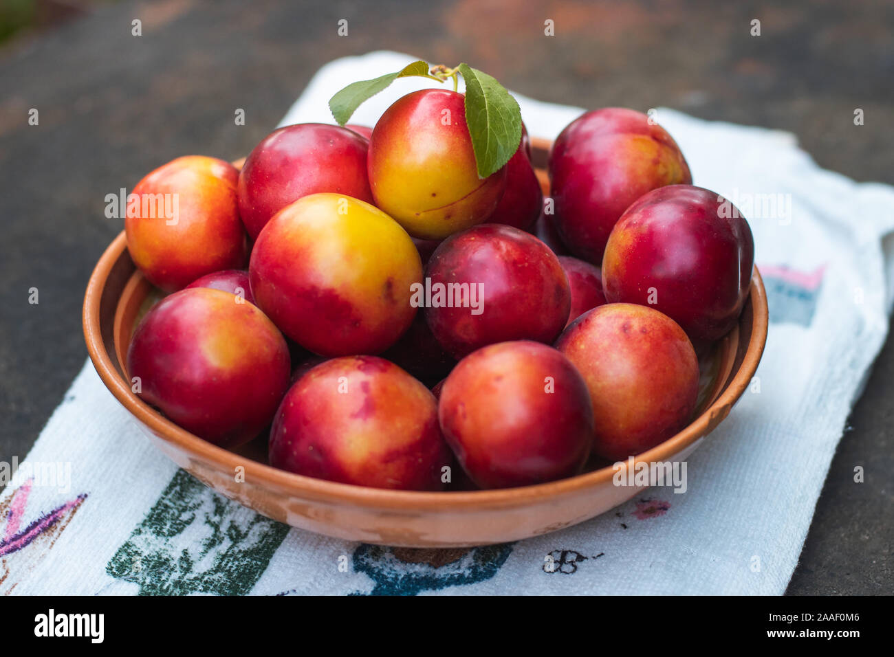 Ripe plums in a plate. Plate with plums on the table. Fruit plucked from a tree Stock Photo