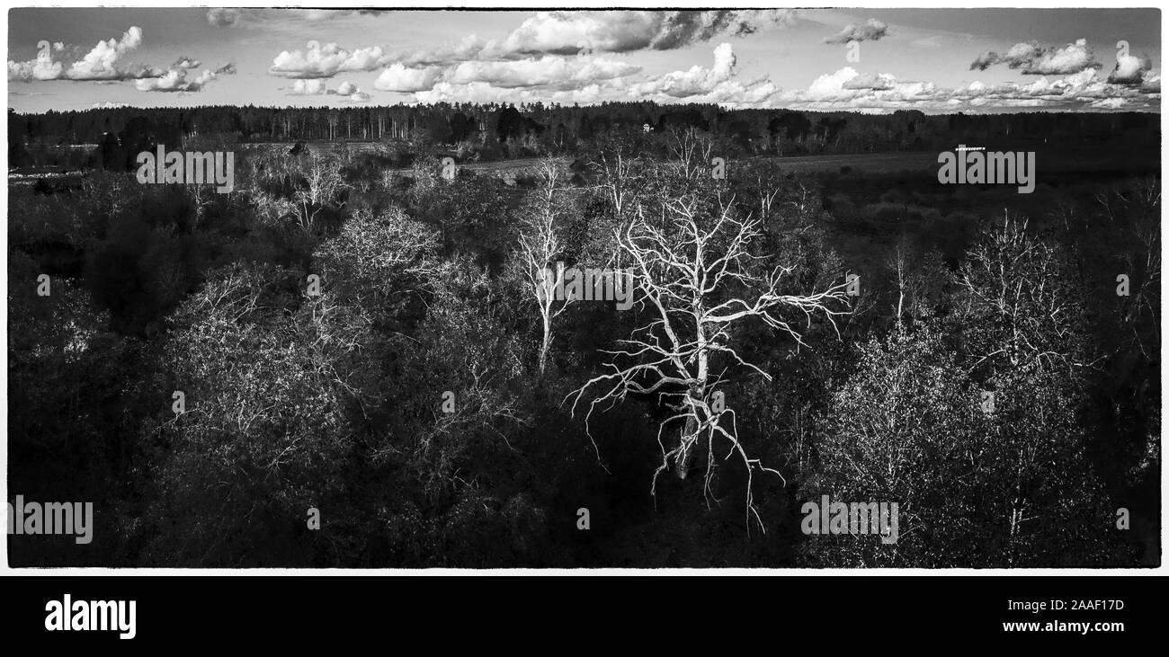 Drone field view forest Black and White Stock Photos & Images - Alamy