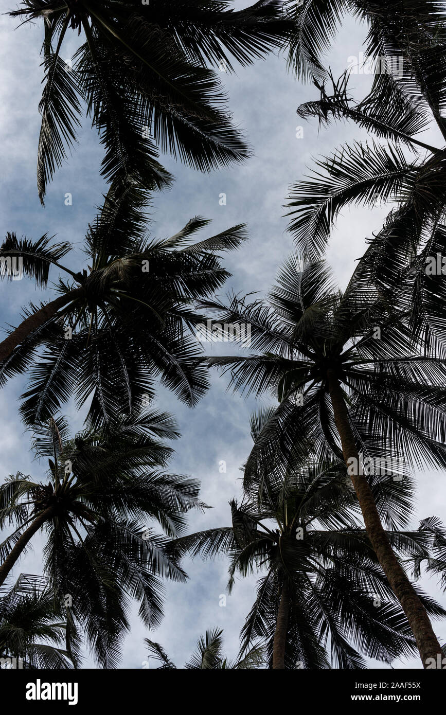 Tropic Climate High Resolution Stock Photography and Images - Alamy