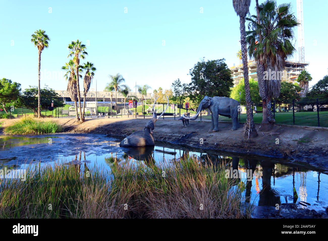 Los Angeles, California LA BREA TAR PITS & Museum, one of the world's