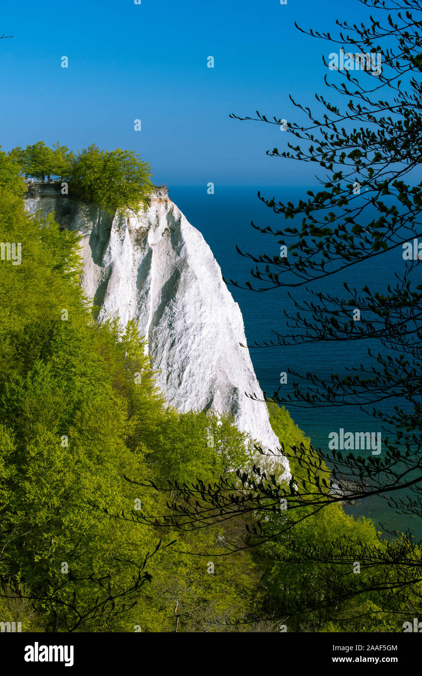 Kreidefelsen, Insel Ruegen, Mecklenburg-Vorpommern Stock Photo - Alamy