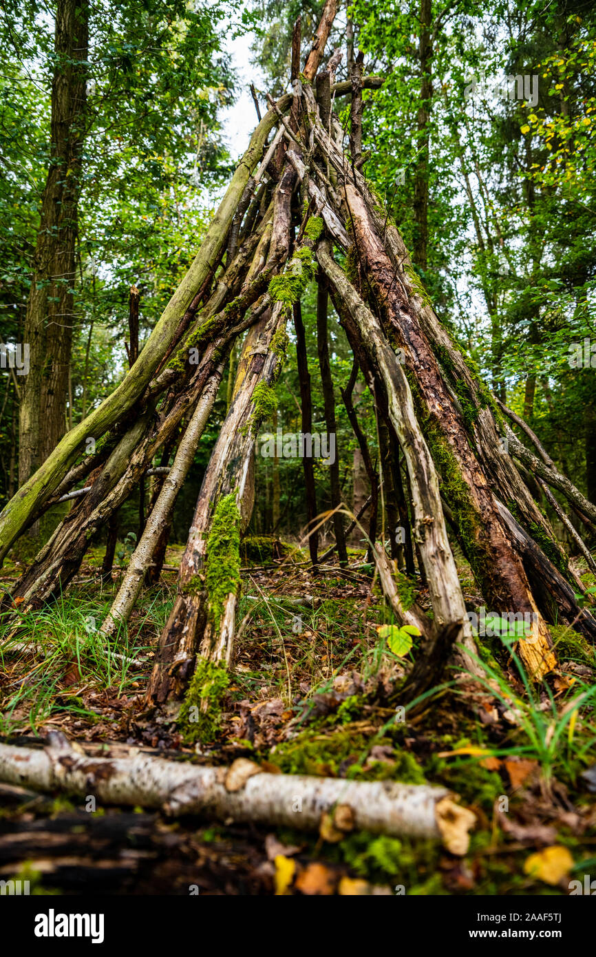 Bush craft / Survival shelter: Primitive shelter construction in a wild  forest environment. Basic protection in an emergency situation. Fun  activity Stock Photo - Alamy