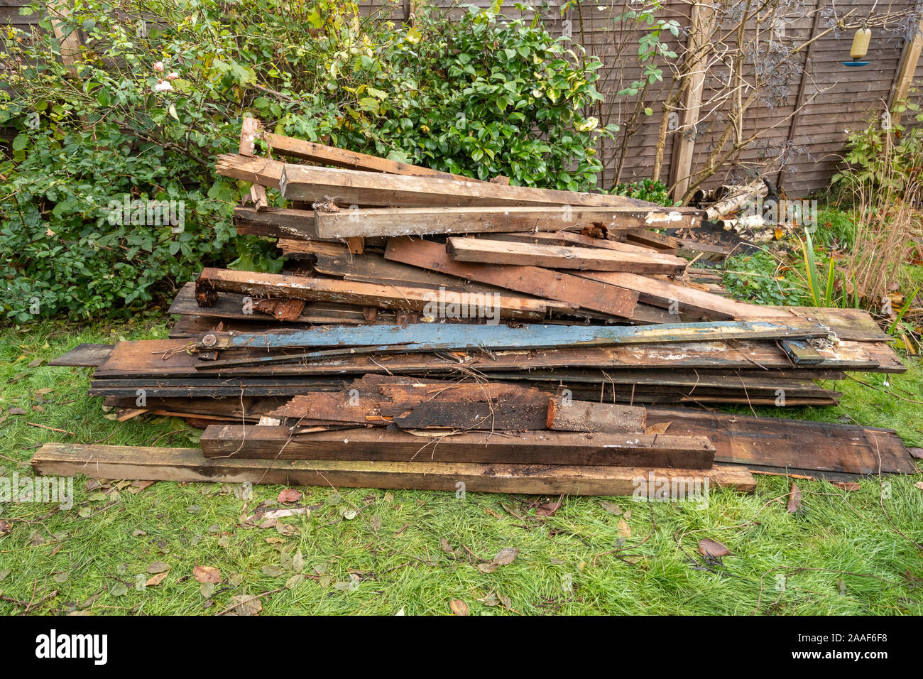 Large pile of old wood on garden lawn after demolishing a shed. Mess or messy, untidy garden. Stock Photo