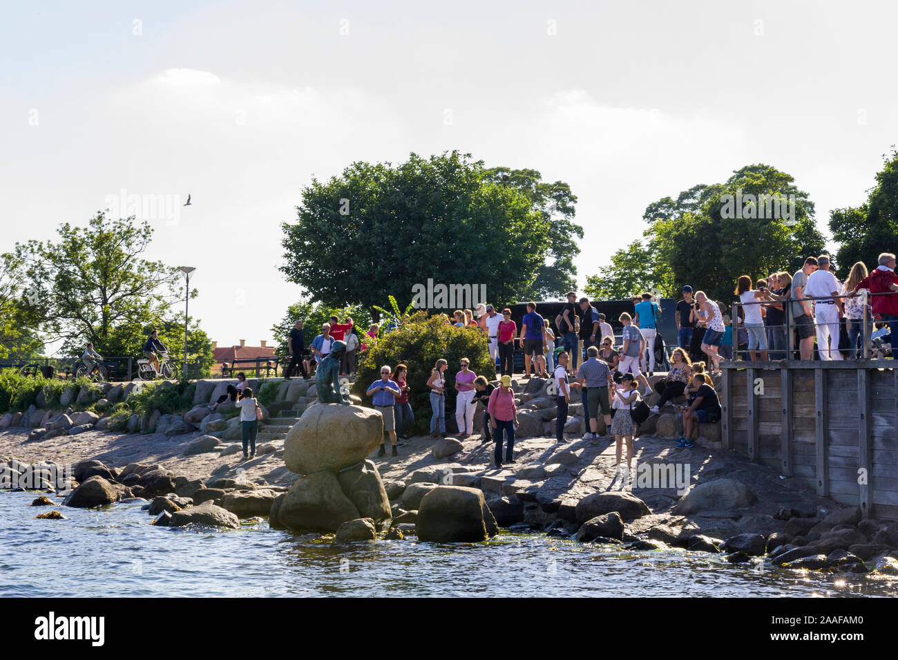 Tourists visiting the iconic mermaid statue sitting on a rock in ...