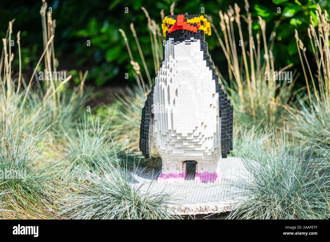 Edinburgh, Scotland, August 17 th 2019. Edinburgh Zoo rockhopper penguin made from 3,200 LEGO bricks Stock Photo