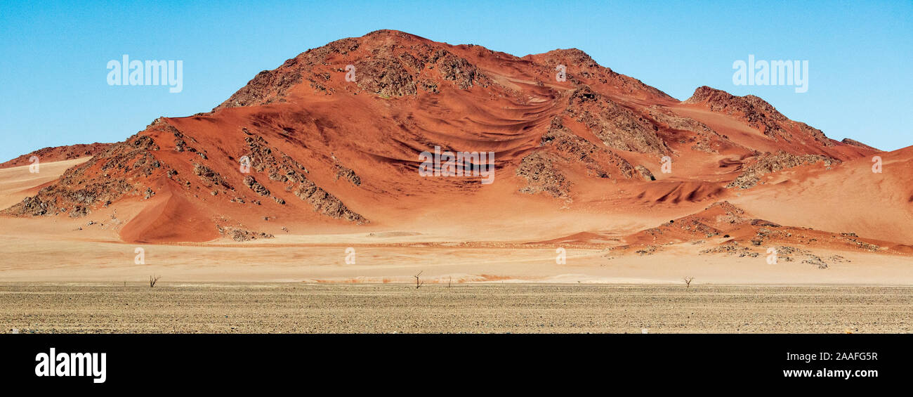 Red sand dunes in Deadvlei, Sossusvlei, Namib-Naukluft National Park, Namibia, Africa Stock Photo