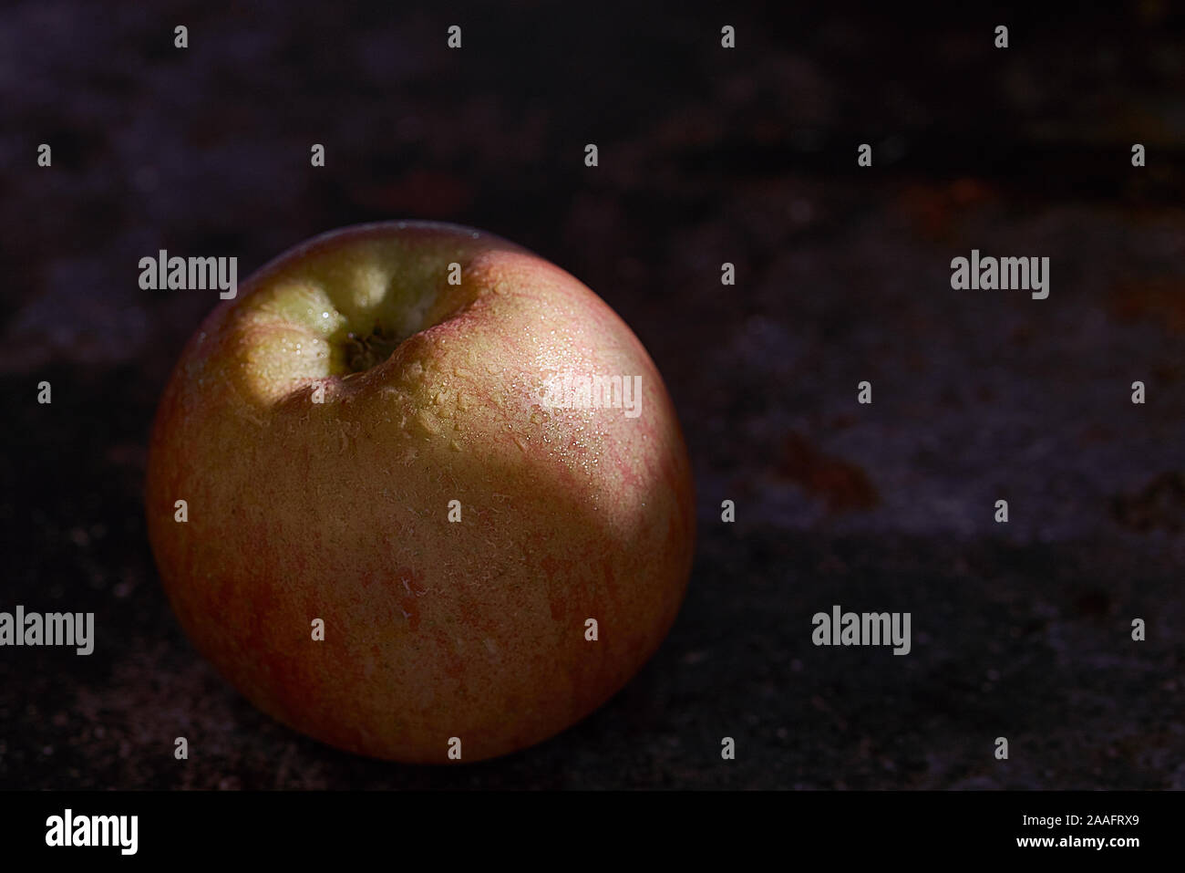 Fuji apple on dark background Stock Photo