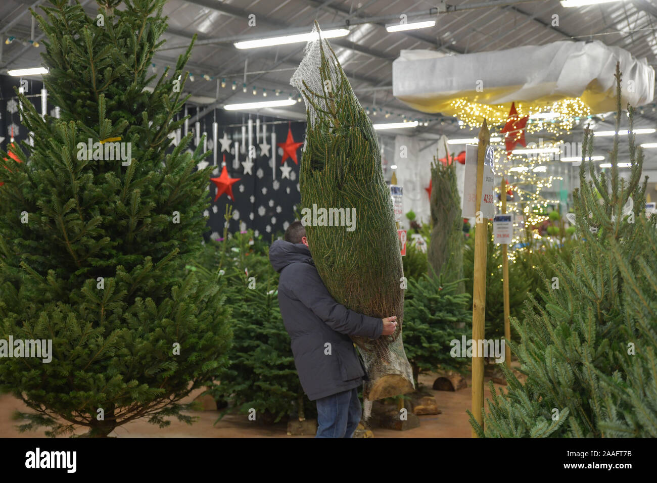 Christmas Tree Removal Pittsboro In 2022 Page 2 - Netting Christmas Tree High Resolution Stock Photography And  Images - Alamy