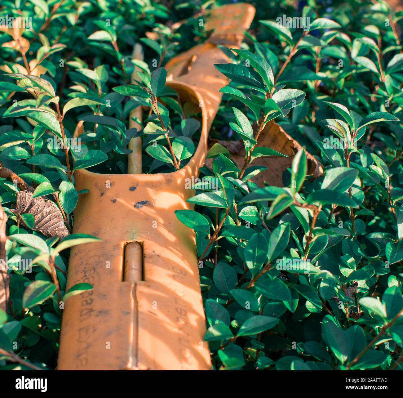 Piece of trash hi-res stock photography and images - Alamy