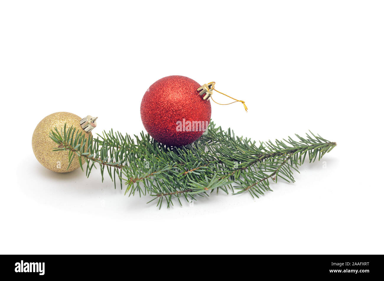 one red ball on Christmas tree branch and more golden ball isolated on ...