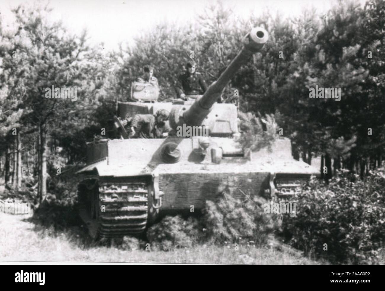 Waffen ss tiger hi-res stock photography and images - Alamy