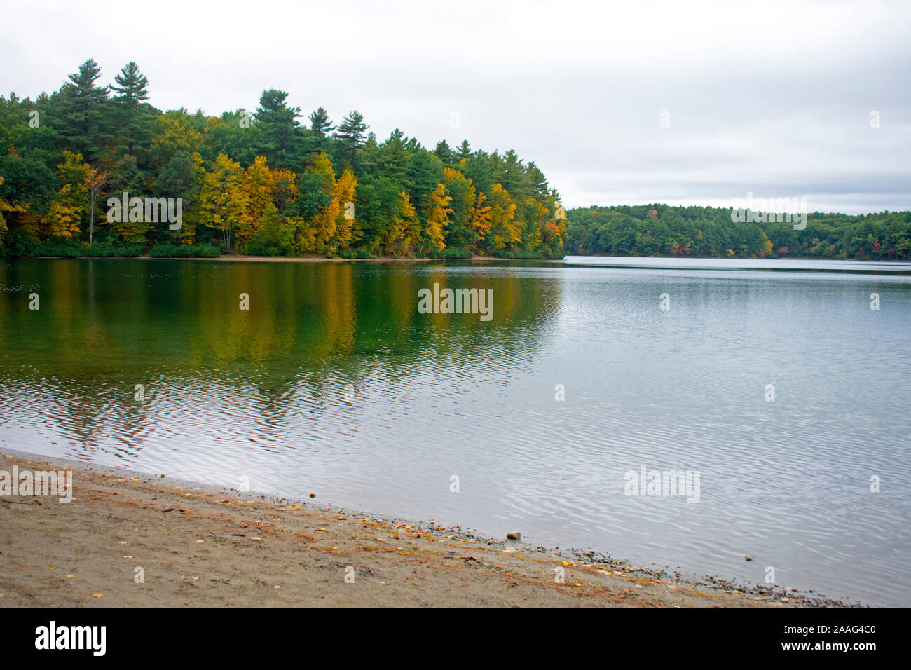 Walden pond and people hires stock photography and images Alamy