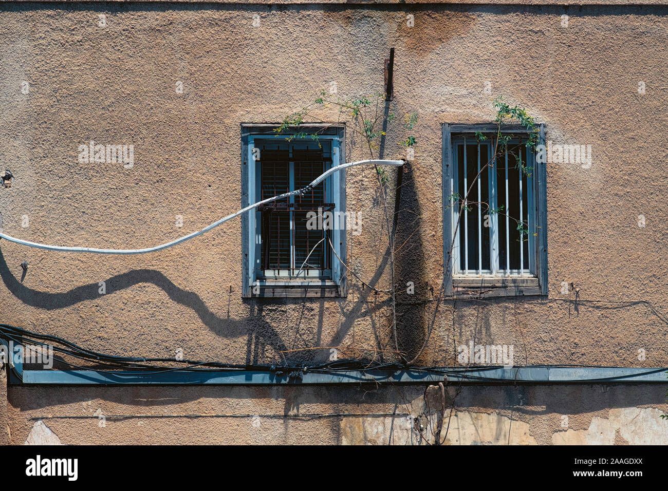 Wall of the old house with two windows and climbing plant in Tel Aviv ,Israel. Stock Photo