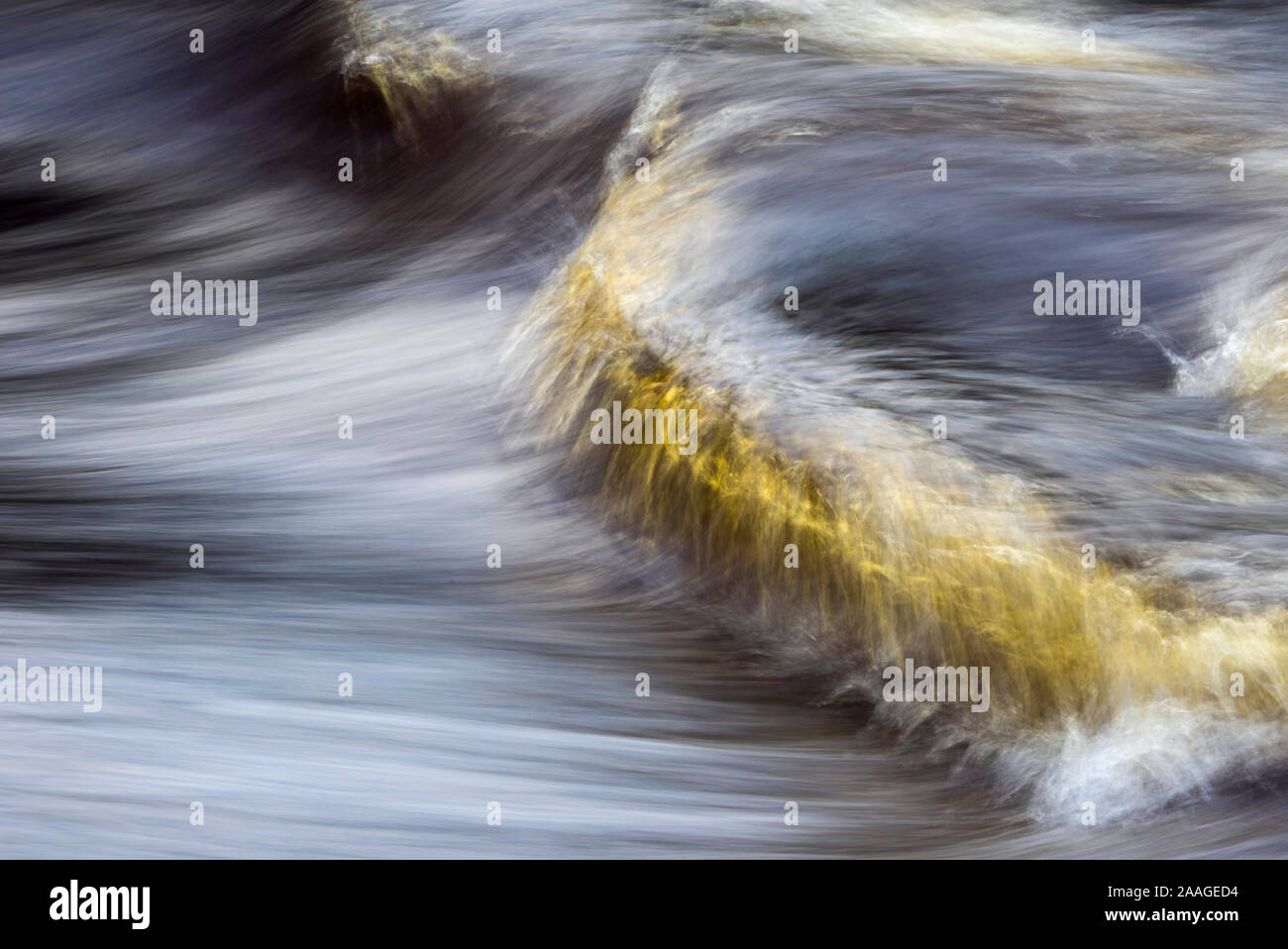 Naturfotografie Stock Photo