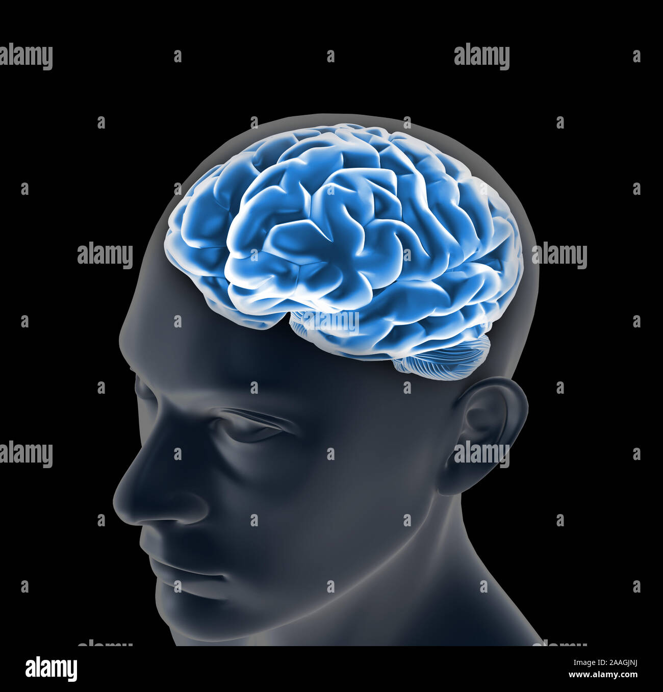 Brain and pulses simulation process of the human thinking 3d render