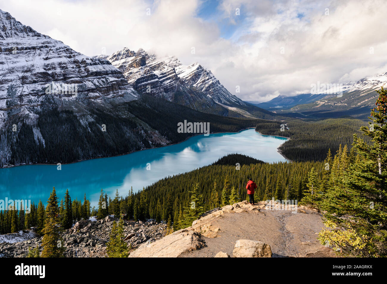 Scenery of Peyto lake resemble of fox in Banff national park at Canada ...