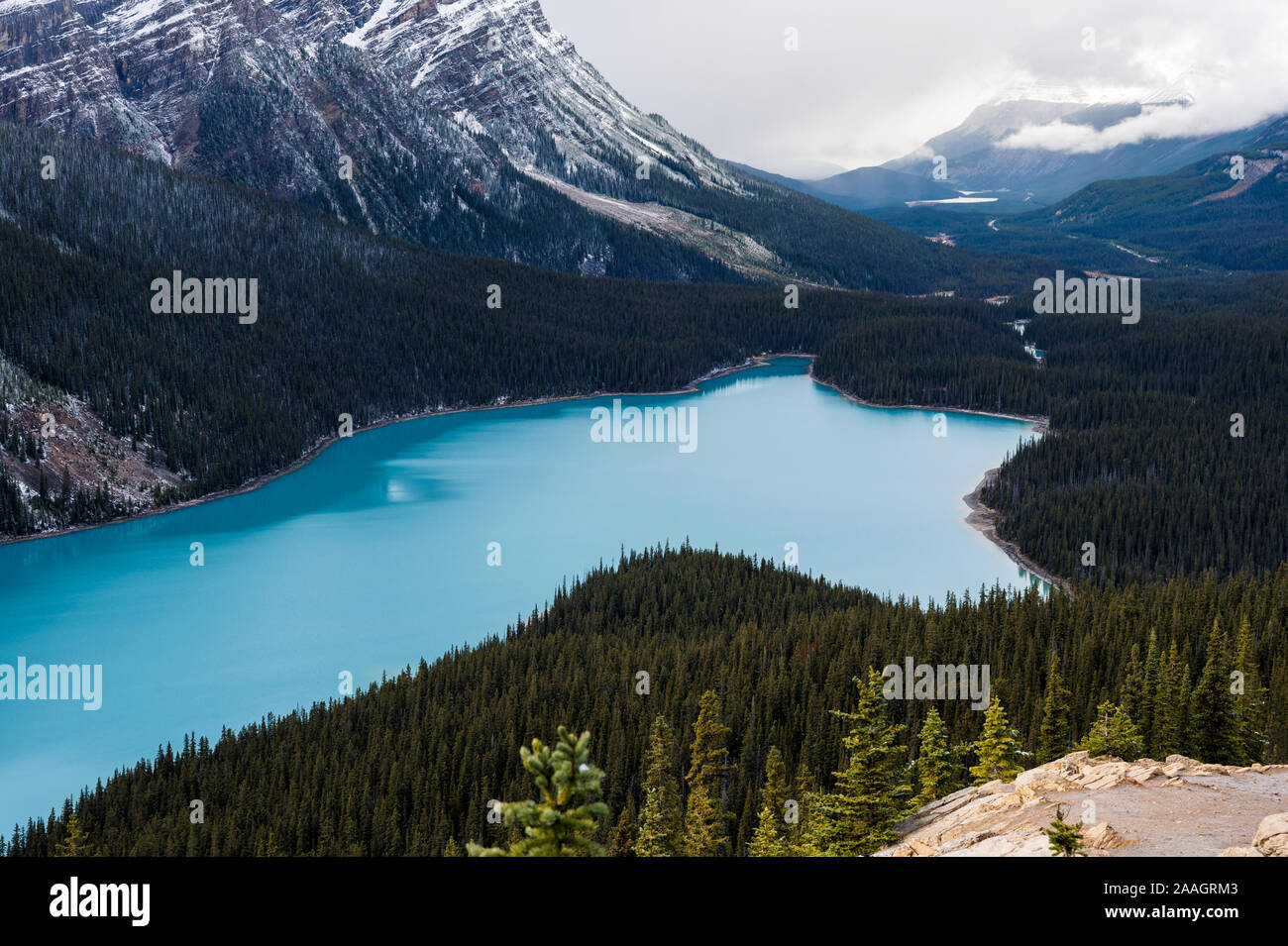 Scenery of Peyto lake resemble of fox in Banff national park at Canada ...