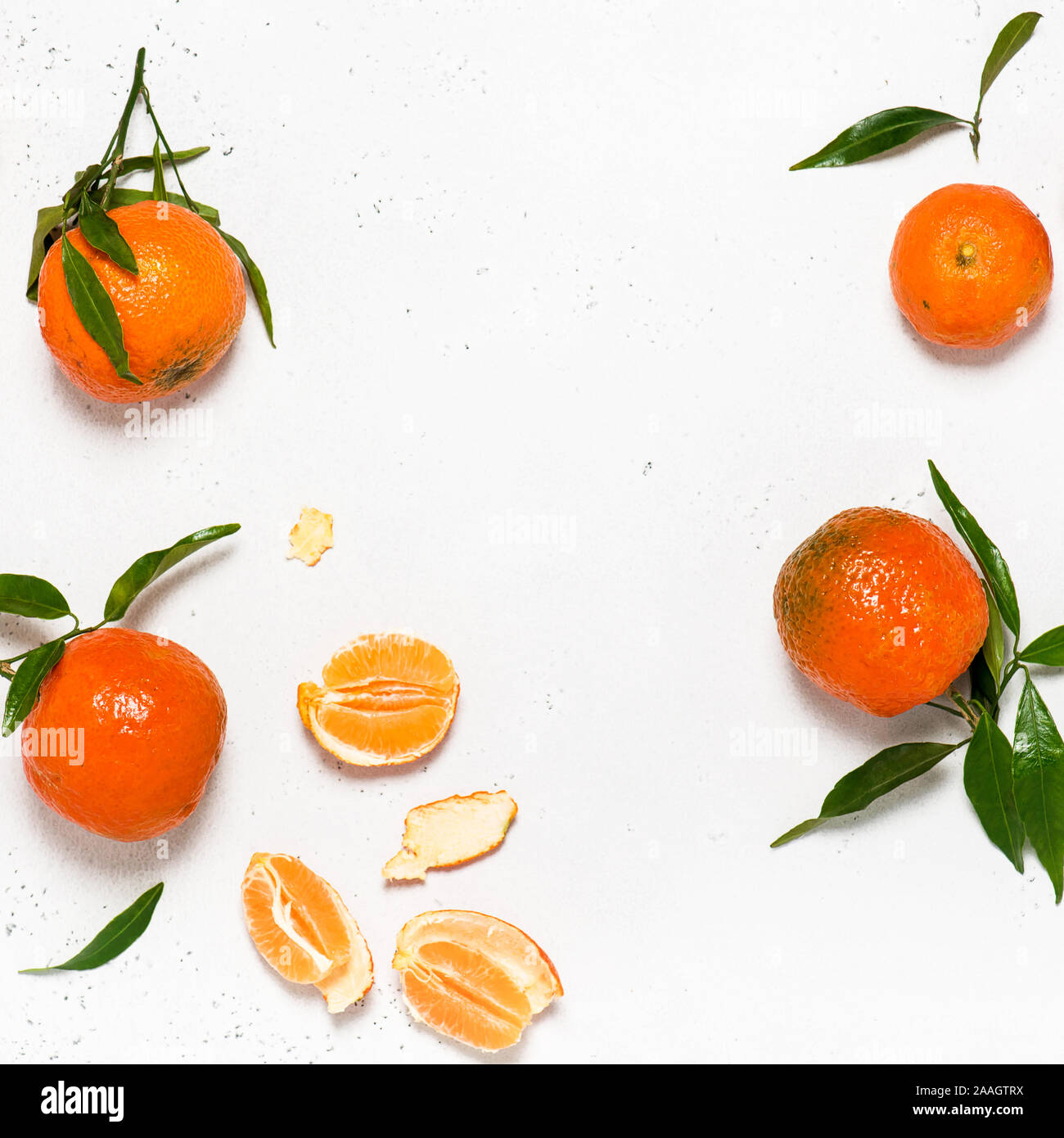 Organic tangerines (mandarins, clementines, citrus fruits) with leaves. Copy space. Square image. Stock Photo