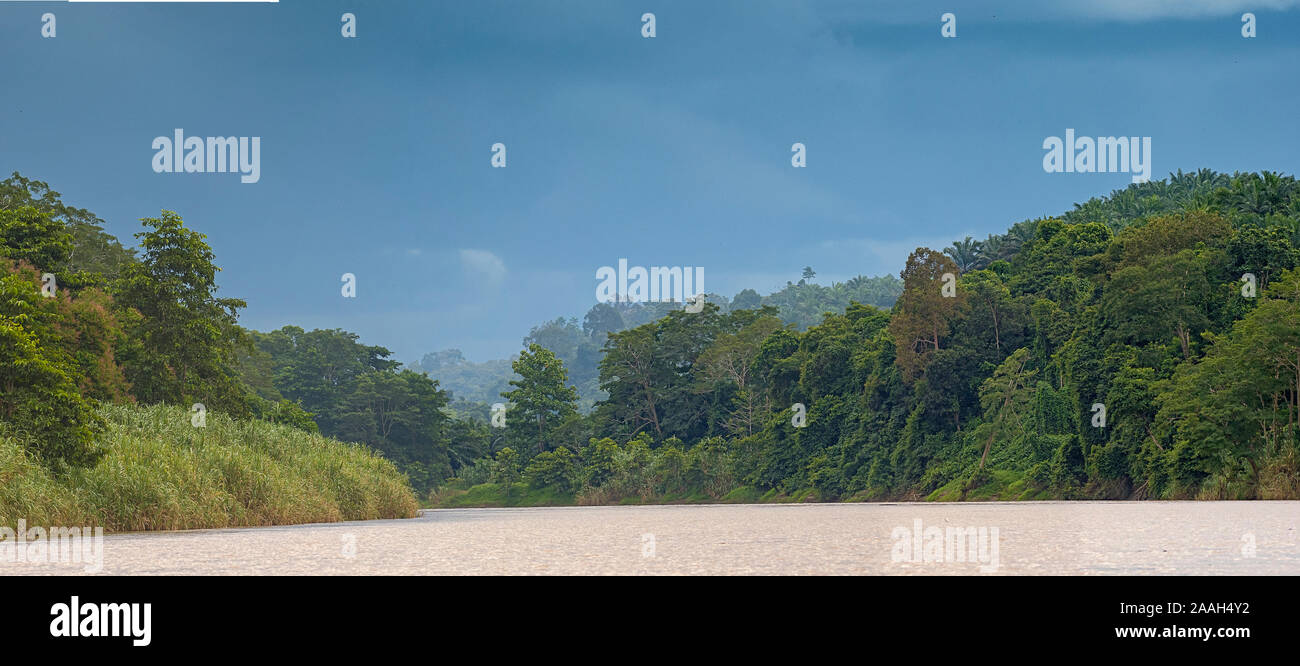 Kinabantangen river of Borneo, Malaysia Stock Photo