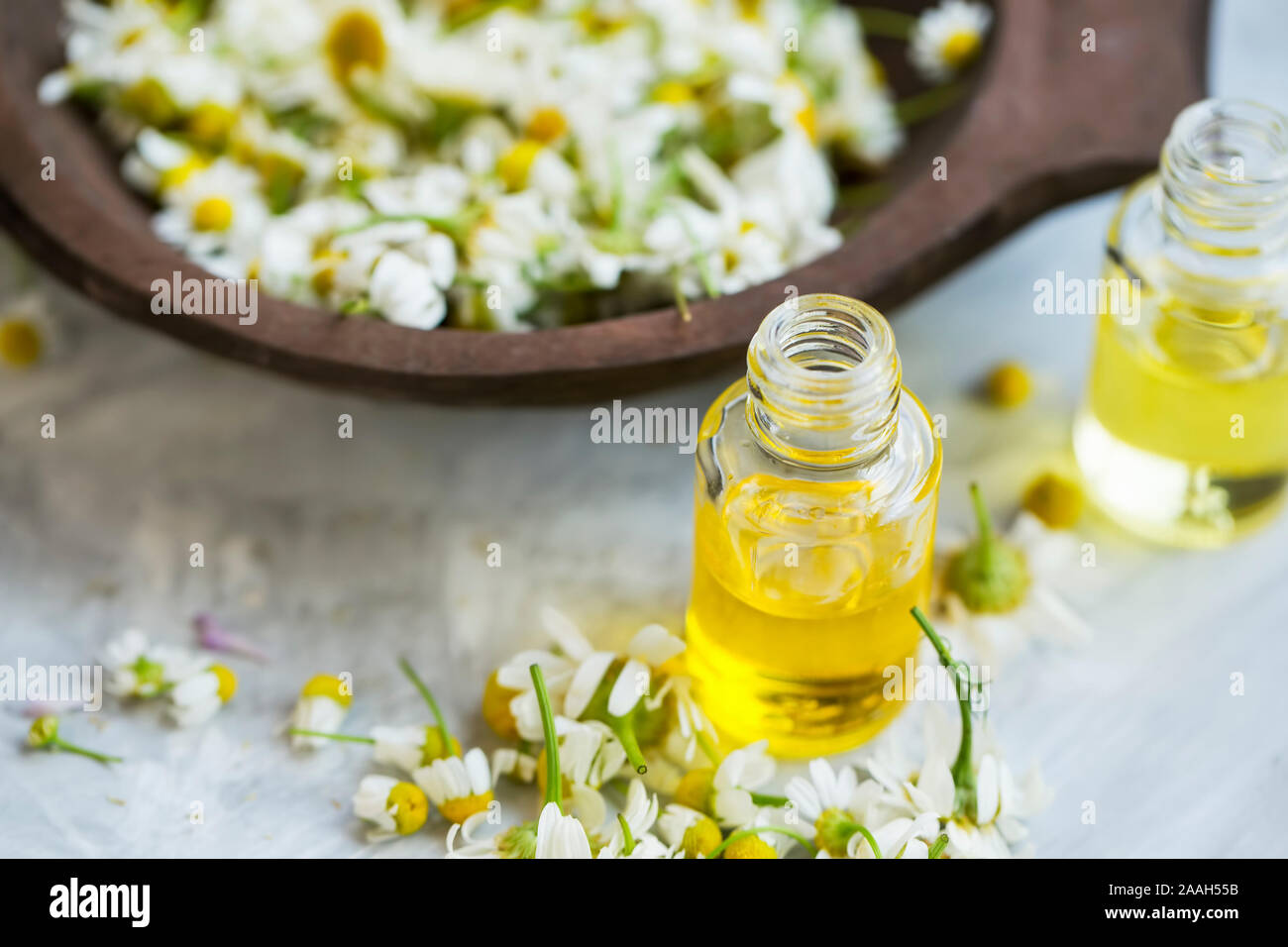 Chamomile oil , chamomile essential oil bottles with chamomile flowers