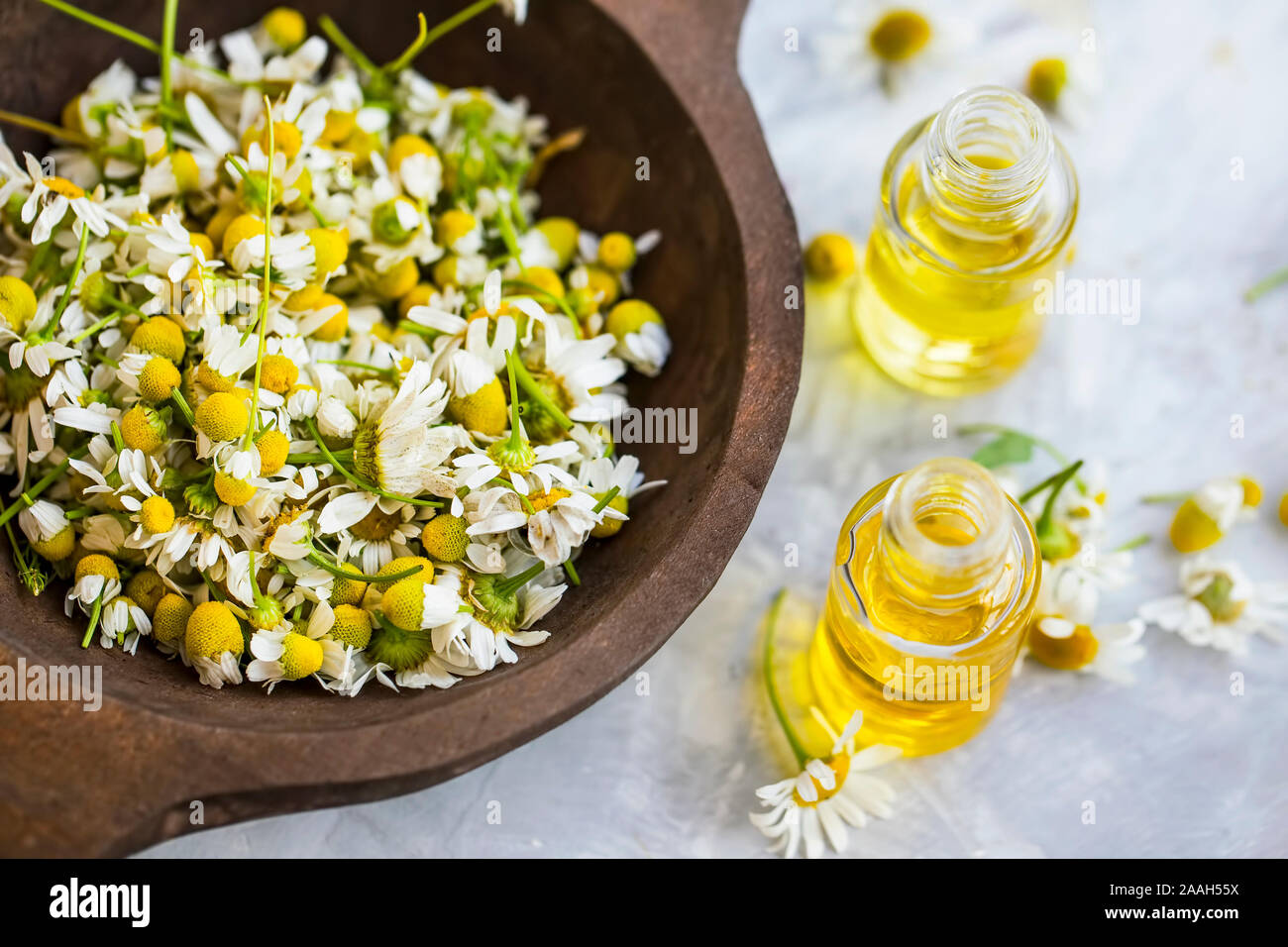 Chamomile oil , chamomile essential oil bottles with chamomile flowers