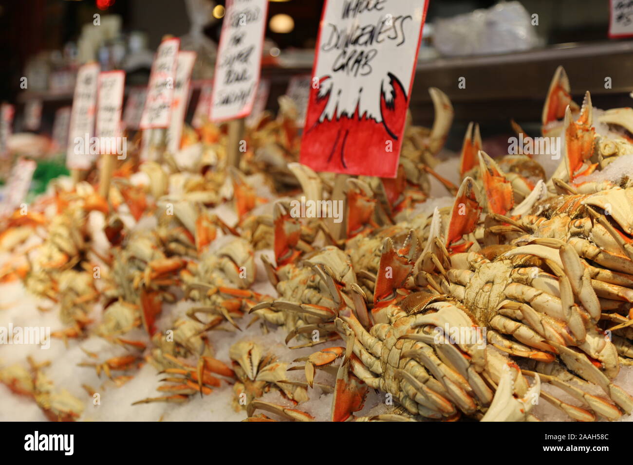Crabs from the famous seafood market located at the coastline in Seattle USA taken bye Camera canon 5D mark III Stock Photo