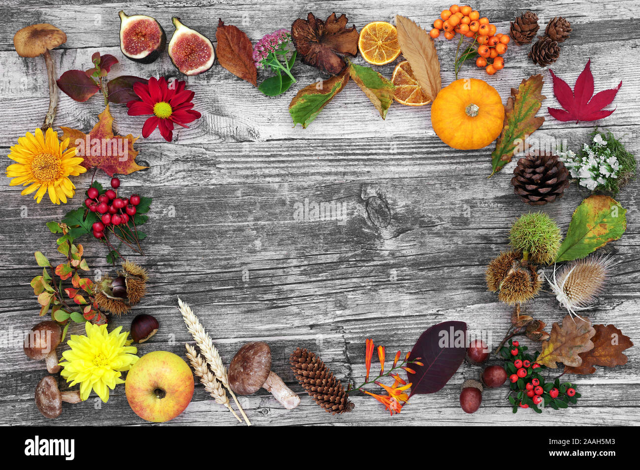 Autumn nature composition forming an abstract background border with food, flora and fauna on rustic wood. Top view. Stock Photo