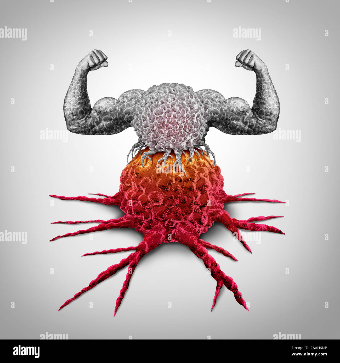 Strong immune system T cell attacking a cancer tumor as an Immunotherapy therapy concept as a biomedical or biomedicine oncology strength. Stock Photo