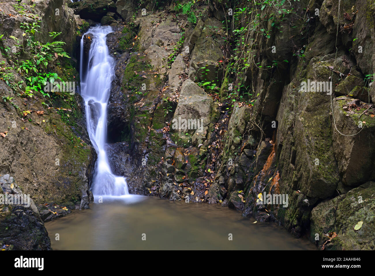 Kaskaden des Tonsai Wasserfall, Phuket, Thailand Stock Photo